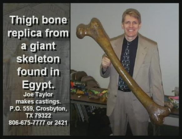 Enorm dijbeen van reus gevonden in Egypte